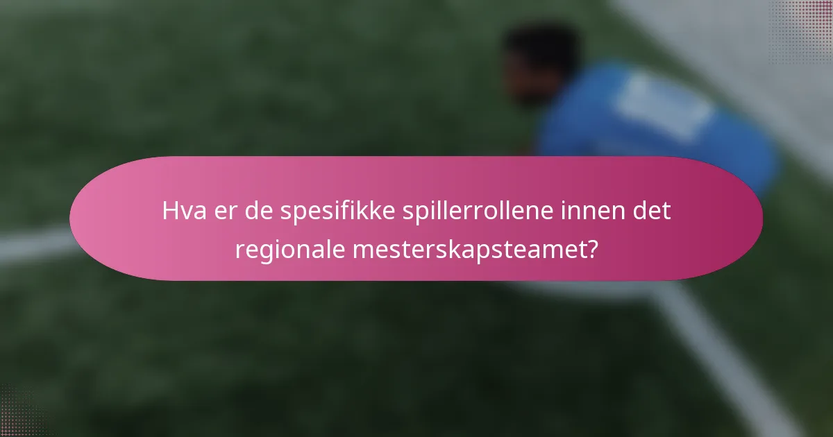 Hva er de spesifikke spillerrollene innen det regionale mesterskapsteamet?