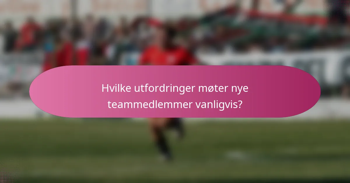 Hvilke utfordringer møter nye teammedlemmer vanligvis?